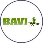 bavi